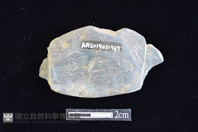 網墜藏品圖，第2張