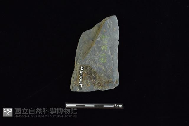 戈形器藏品圖，第2張