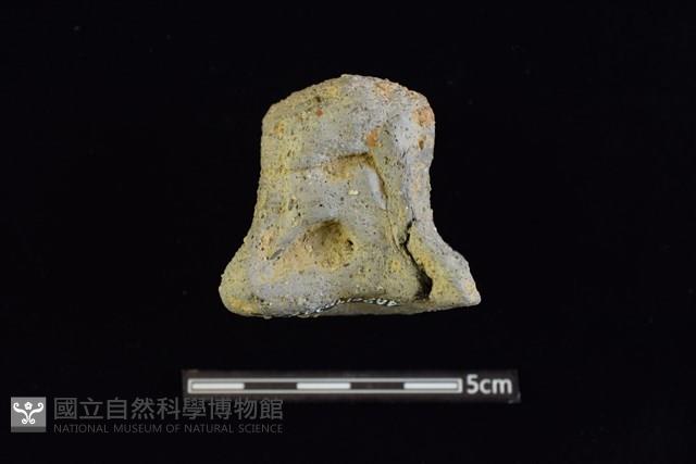 陶蓋及陶蓋鈕藏品圖，第2張