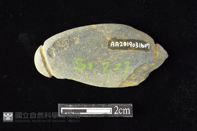 Accession Number:AA2019031607 Collection Image, Figure 2, Total 2 Figures