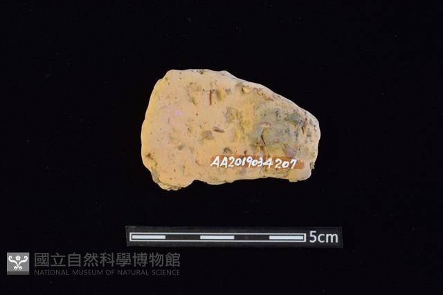 陶片藏品圖，第2張