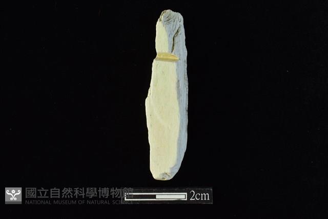 錛鑿形器藏品圖，第2張