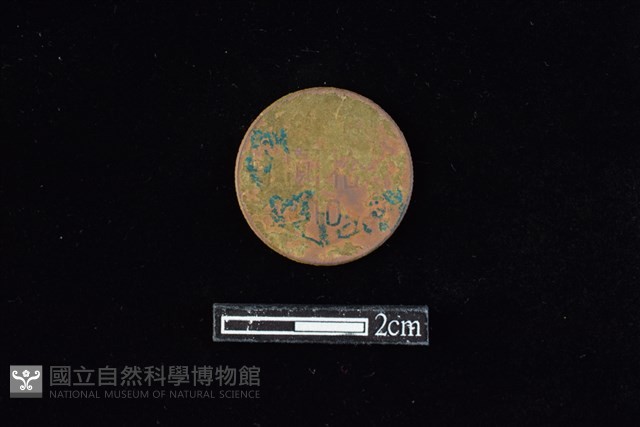 錢幣藏品圖，第2張