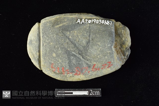 網墜藏品圖，第2張
