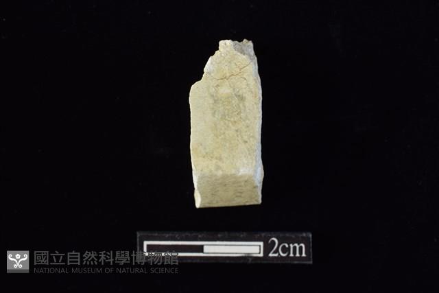 錛鑿形器藏品圖，第1張