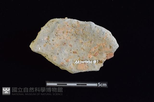 陶片藏品圖，第2張