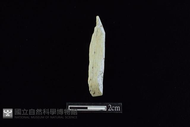 錛鑿形器藏品圖，第1張