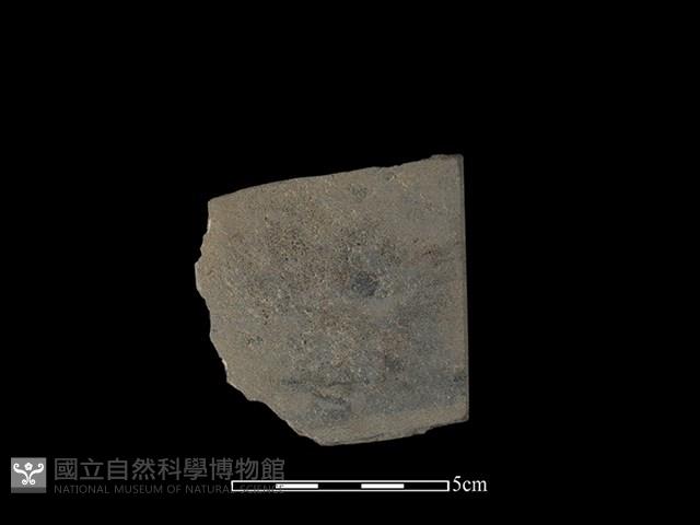 磨製斧鋤形器藏品圖，第2張