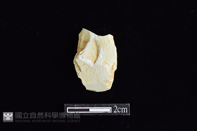 錛鑿形器藏品圖，第1張