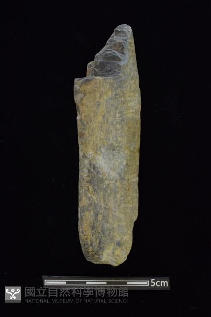 石鎚藏品圖，第1張