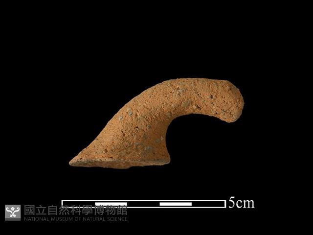 Accession Number:BY-2017-0935 Collection Image, Figure 1, Total 2 Figures