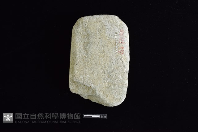 錛鑿形器藏品圖，第2張