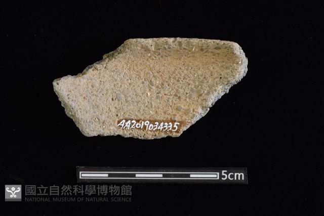 陶片藏品圖，第2張