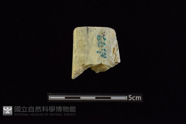 錛鑿形器藏品圖，第2張