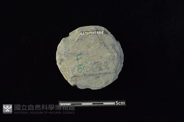 石圓片藏品圖，第2張