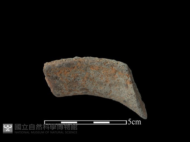 陶罐藏品圖，第2張