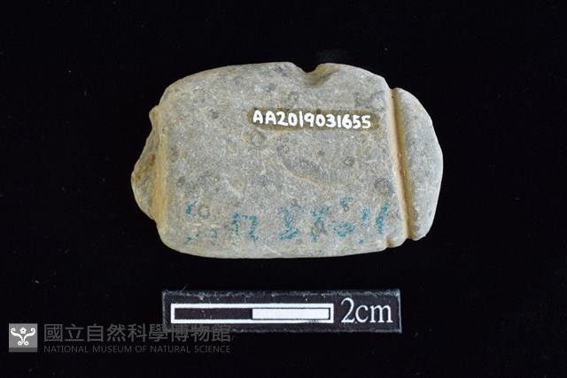 網墜藏品圖，第2張