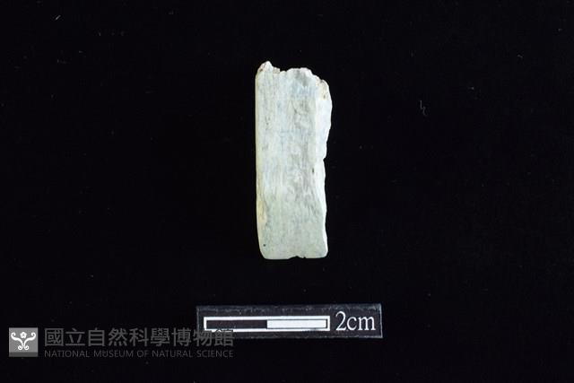 錛鑿形器藏品圖，第1張