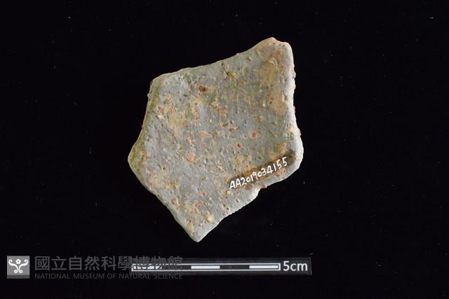 陶片藏品圖，第2張