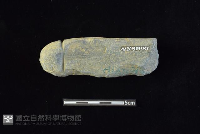 網墜藏品圖，第2張