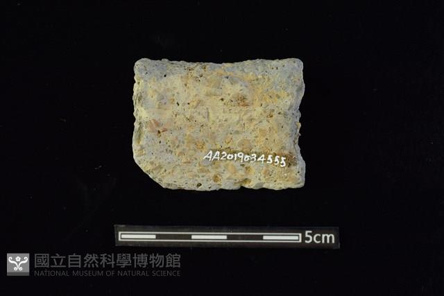 陶罐藏品圖，第2張