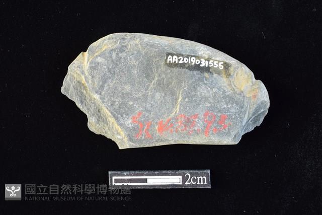 網墜藏品圖，第2張