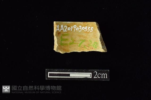 玉料藏品圖，第2張