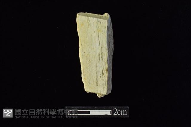 錛鑿形器藏品圖，第2張