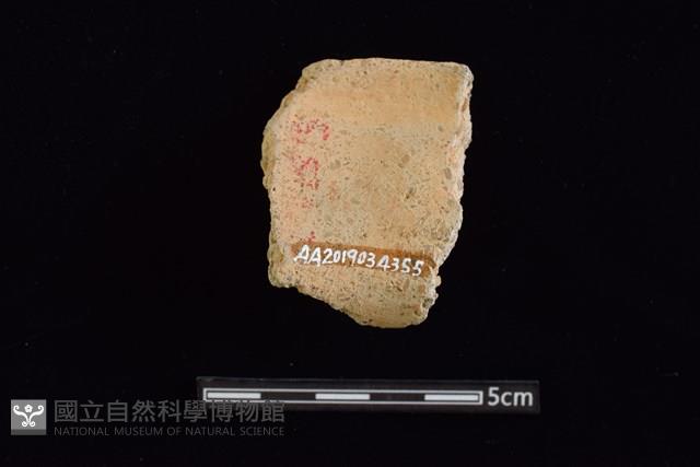 陶罐藏品圖，第2張