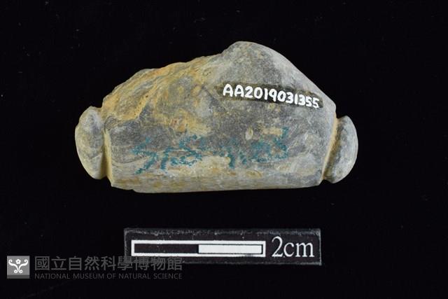 網墜藏品圖，第2張