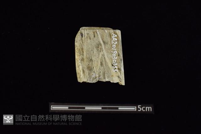 錛鑿形器藏品圖，第2張