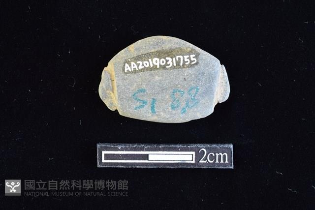 網墜藏品圖，第2張