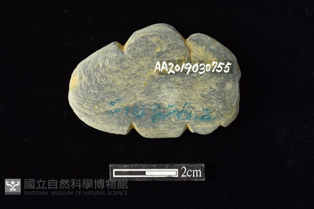 網墜藏品圖，第2張
