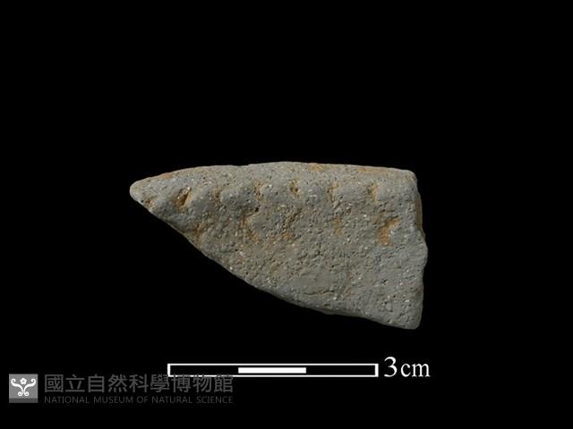 陶罐藏品圖，第2張