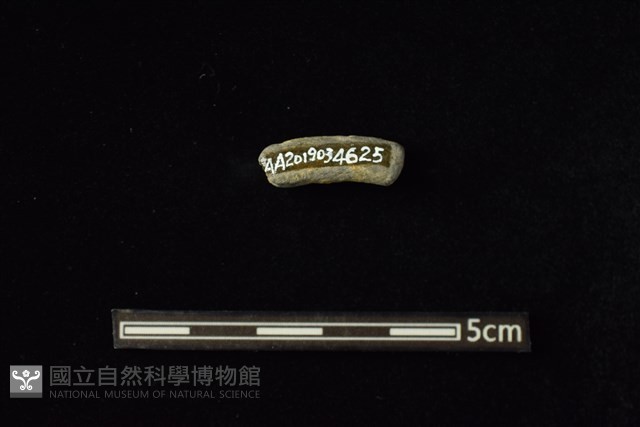 陶環藏品圖，第2張