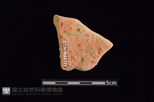 陶片藏品圖，第2張