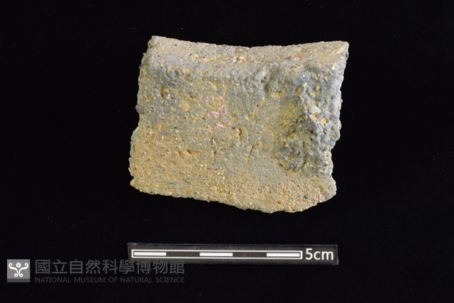 陶缽藏品圖，第2張