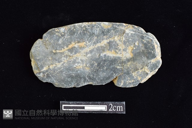 網墜藏品圖，第2張