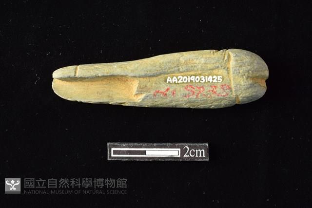 網墜藏品圖，第2張