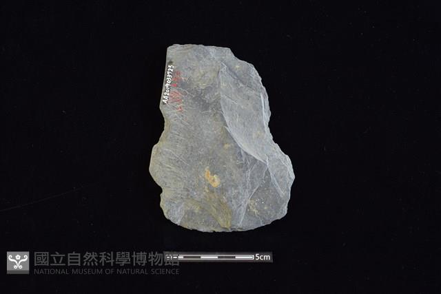 石器殘件藏品圖，第2張