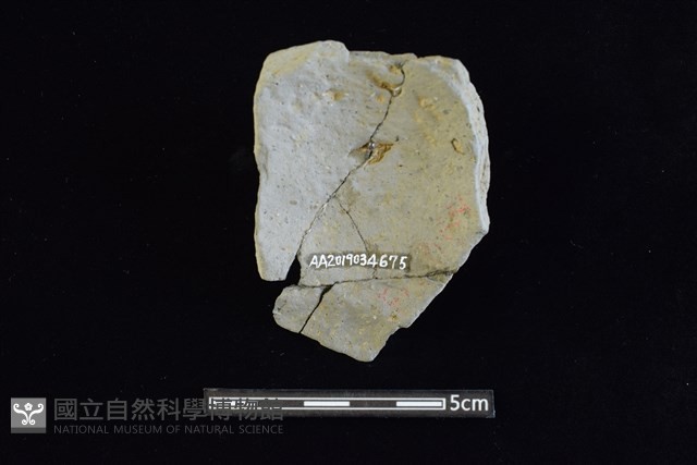 束腰陶罐藏品圖，第2張