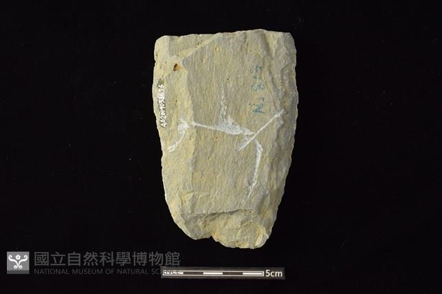 斧鋤形器藏品圖，第2張