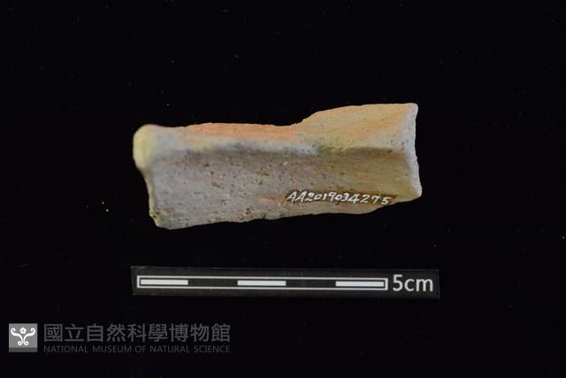 圈足藏品圖，第2張