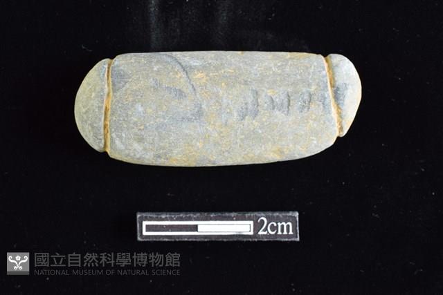 網墜藏品圖，第1張