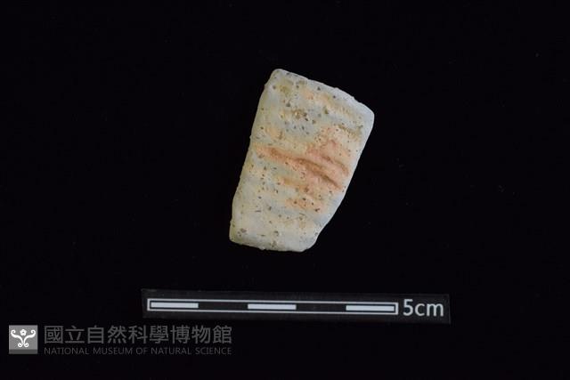 陶片藏品圖，第1張