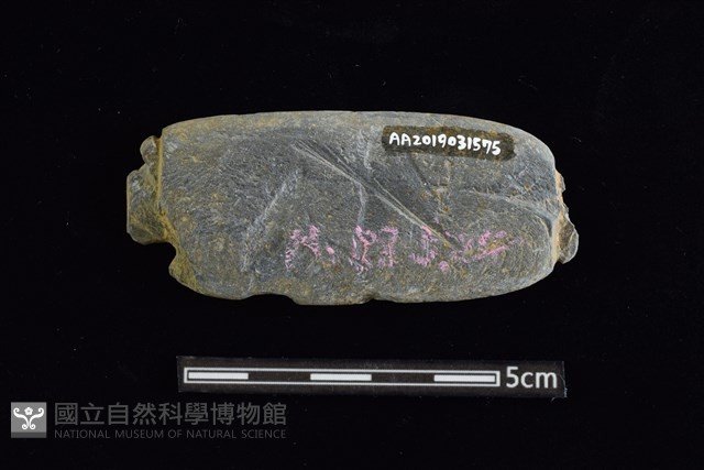 網墜藏品圖，第2張