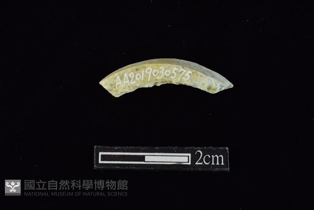 玉料藏品圖，第2張