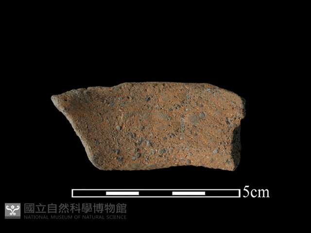 陶罐藏品圖，第2張