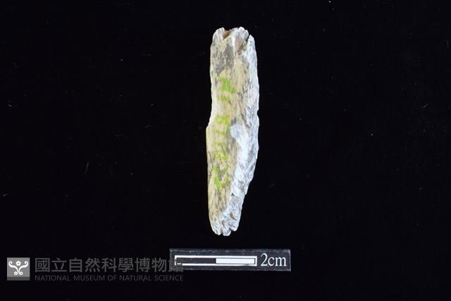 錛鑿形器藏品圖，第2張