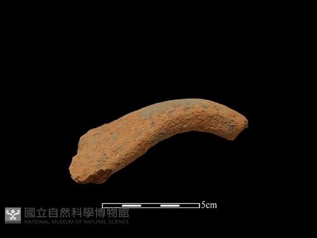 陶把藏品圖，第1張